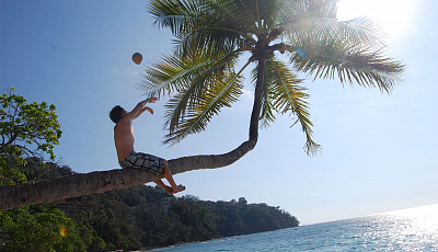 Natur in Costa Rica erleben