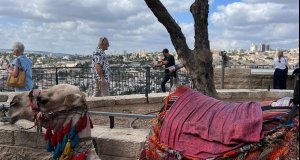 Prägende Erfahrung|Studienfahrt nach Israel